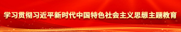 舔鸡巴操B网站视频学习贯彻习近平新时代中国特色社会主义思想主题教育